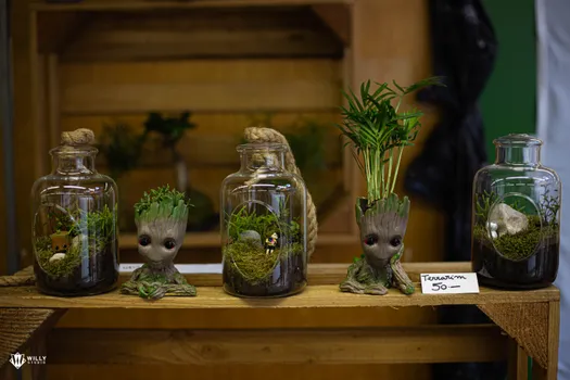 Copyright : William Studio